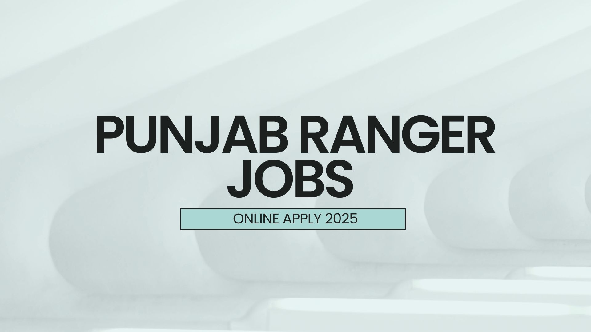 PUNJAB RANGER JOBS